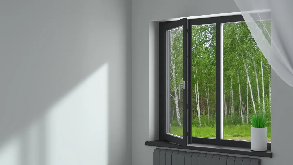 fenetres (2)